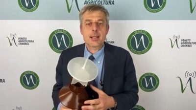Focus Bollettino Colture Erbacee n 11/2023 del 29 marzo. Difesa integrata delle colture: istruzioni per la posa delle trappole a ferormoni per il monitoraggio degli adulti di elateridi. Con Lorenzo Furlan.