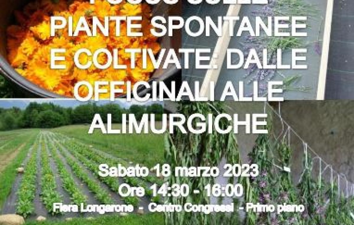 PIANTE SPONTANEE: FOCUS DI VENETO AGRICOLTURA AD AGRIMONT