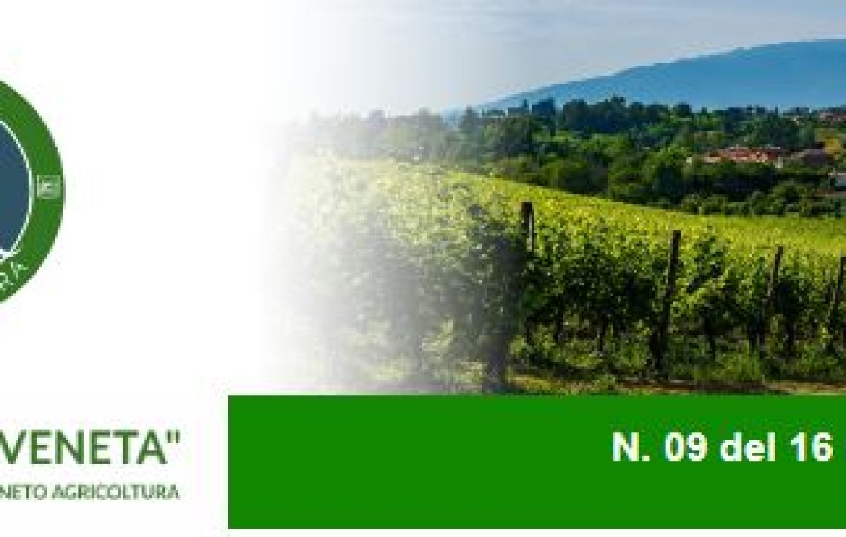 Newsletter Agricoltura Veneta n. 09 del 16 marzo 2023