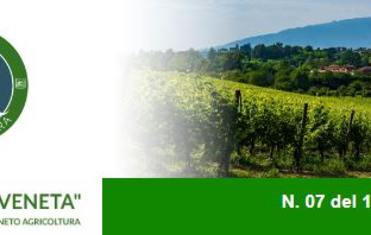 Newsletter Agricoltura Veneta n. 7 del 1 marzo 2023
