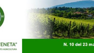Newsletter Agricoltura Veneta n. 10 del 23 marzo 2023
