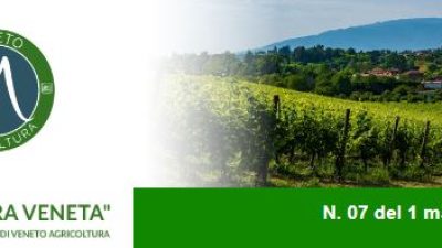 Newsletter Agricoltura Veneta n. 7 del 1 marzo 2023