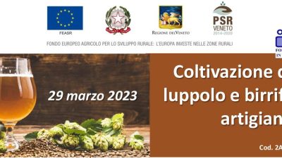 Coltivazione del luppolo e birrifici artigianali