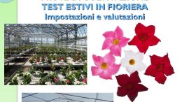 Schede varietali Dipladenia 2019-2020-2021-2022
