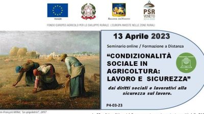 Condizionalità sociale in agricoltura: lavoro e sicurezza