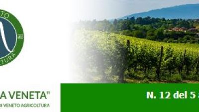 Newsletter Agricoltura Veneta n. 12 del 5 aprile 2023