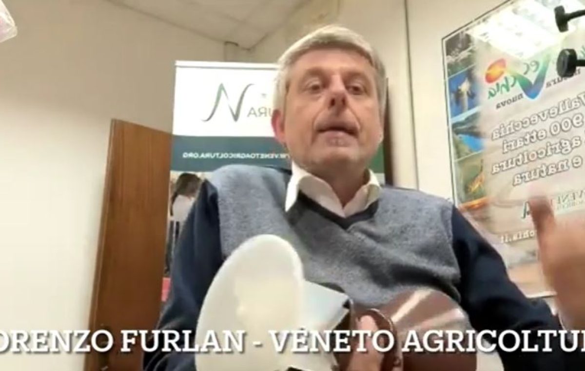 Focus Bollettino Colture Erbacee n. 13/2023 del 13 aprile. Aggiornamento settimanale di Lorenzo Furlan di Veneto Agricoltura su: monitoraggio degli adulti di elateridi con trappola YATLORf e difesa integrata dalle malattie fungine del frumento e dei cereali autunno-vernini.