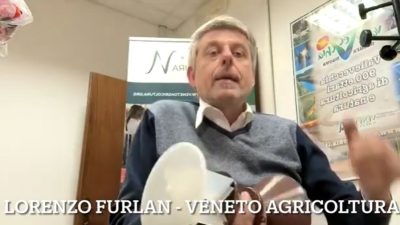 Focus Bollettino Colture Erbacee n. 13/2023 del 13 aprile. Aggiornamento settimanale di Lorenzo Furlan di Veneto Agricoltura su: monitoraggio degli adulti di elateridi con trappola YATLORf e difesa integrata dalle malattie fungine del frumento e dei cereali autunno-vernini.