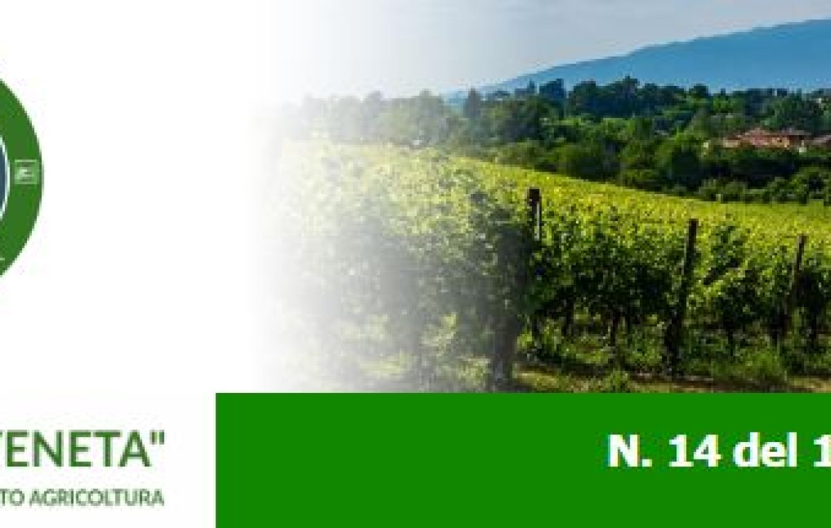 Newsletter Agricoltura Veneta n. 14 del 19 aprile 2023