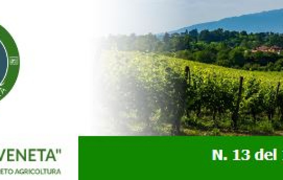 Newsletter Agricoltura Veneta n. 13 del 12 aprile 2023