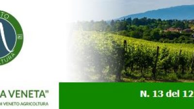 Newsletter Agricoltura Veneta n. 13 del 12 aprile 2023