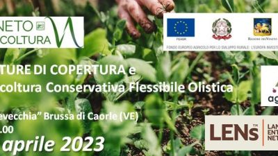 COLTURE DI COPERTURA e  Agricoltura Conservativa Flessibile Olistica