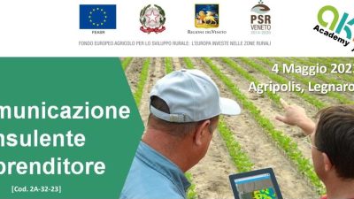 La comunicazione consulente – imprenditore