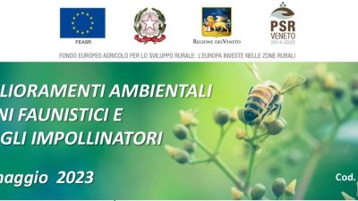 Miglioramenti ambientali a fini faunistici e per gli impollinatori