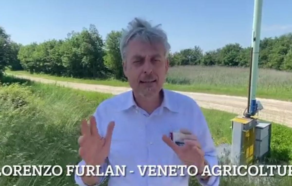 AGRICOLTURA E GESTIONE DELL’ACQUA  L’agricoltura può contribuire a contrastare i cambiamenti climatici attraverso una più corretta gestione dell’acqua. Due esempi concreti arrivano dalle aziende pilota dimostrative di Veneto Agricoltura “ValleVecchia” a Caorle (Ve) e “Diana” a Mogliano Veneto (Tv).
