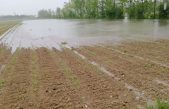 VENETO AGRICOLTURA: DUE PROGETTI PILOTA PER MITIGARE IL CAMBIAMENTO CLIMATICO