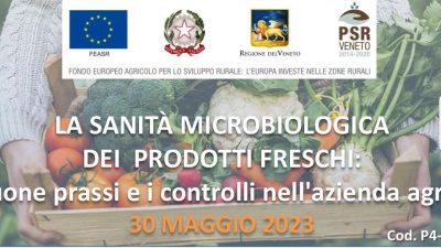 La sanità microbiologica dei prodotti freschi: le buone prassi e i controlli nell’azienda agricola