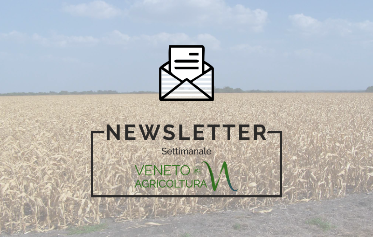 Agricoltura Veneta n°31/2023 del 28.9.23