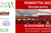 STELLE DI NATALE PROTAGONISTE AL CENTRO DI VENETO AGRICOLTURA “PO DI TRAMONTANA”