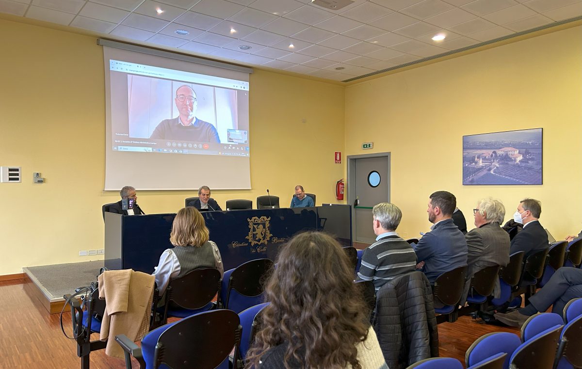 TRITTICO 2023 Resoconto della vendemmia 2023