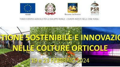 Gestione sostenibile e innovazione nelle colture orticole
