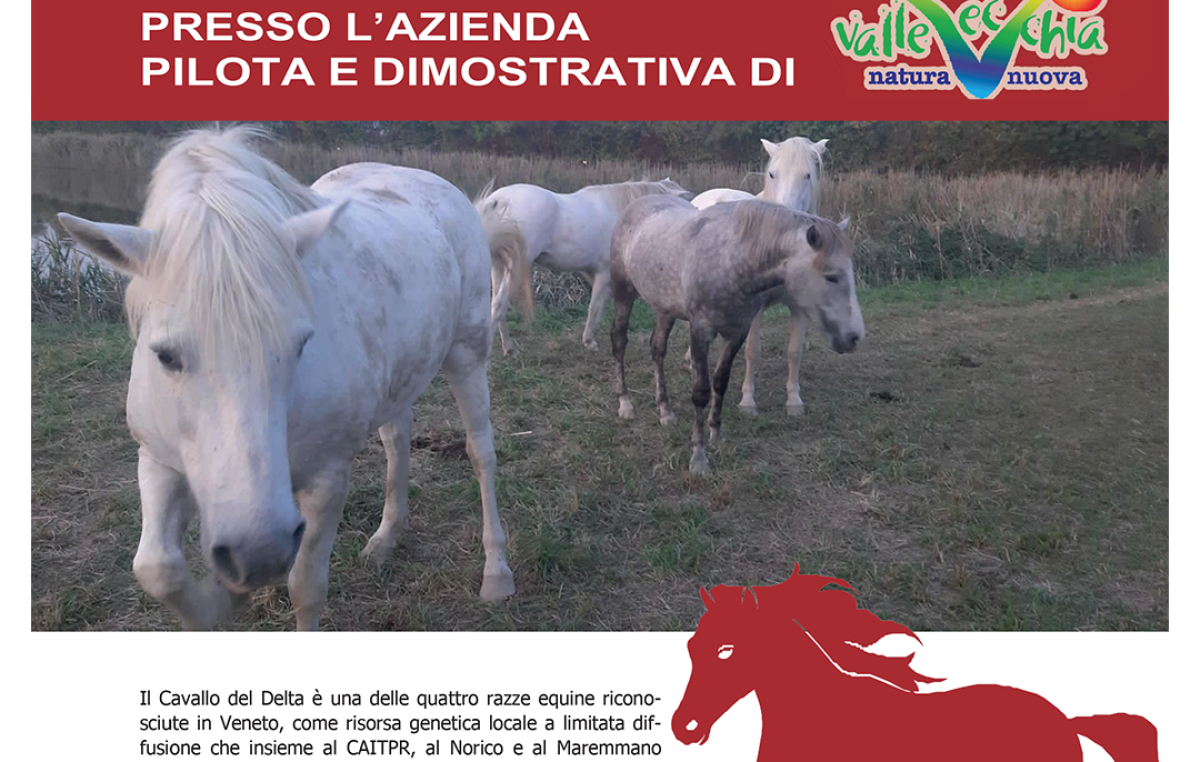 PROGETTO “CAVALLO DEL DELTA” APERTA LA NUOVA AREA