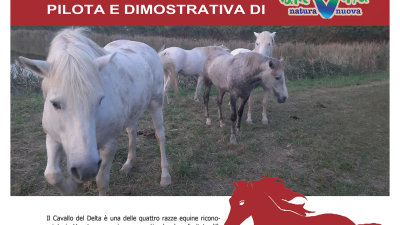 PROGETTO “CAVALLO DEL DELTA” APERTA LA NUOVA AREA