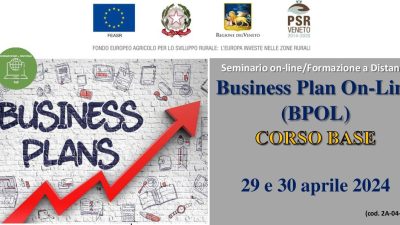 Business Plan On-Line (BPOL) – CORSO BASE