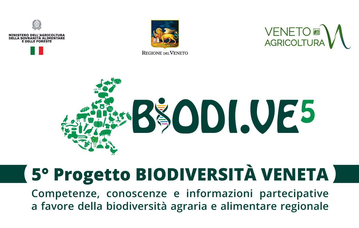 5° Progetto BIODIVERSITÀ VENETA – Competenze, conoscenze e informazioni partecipative a favore della biodiversità agraria e alimentare regionale.