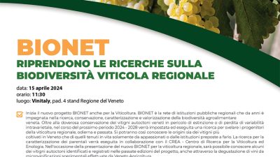 VENETO AGRICOLTURA PROTAGONISTA A VINITALY 2024