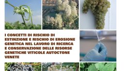 I concetti di estinzione e rischio e di erosione genetica nel lavoro di ricerca e conservazione delle risorse genetiche viticole autoctone venete