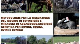 Metodologie per la rilevazione del rischio di estinzione  e minaccia di abbandono/erosione genetica per bovini, equini, ovini e conigli