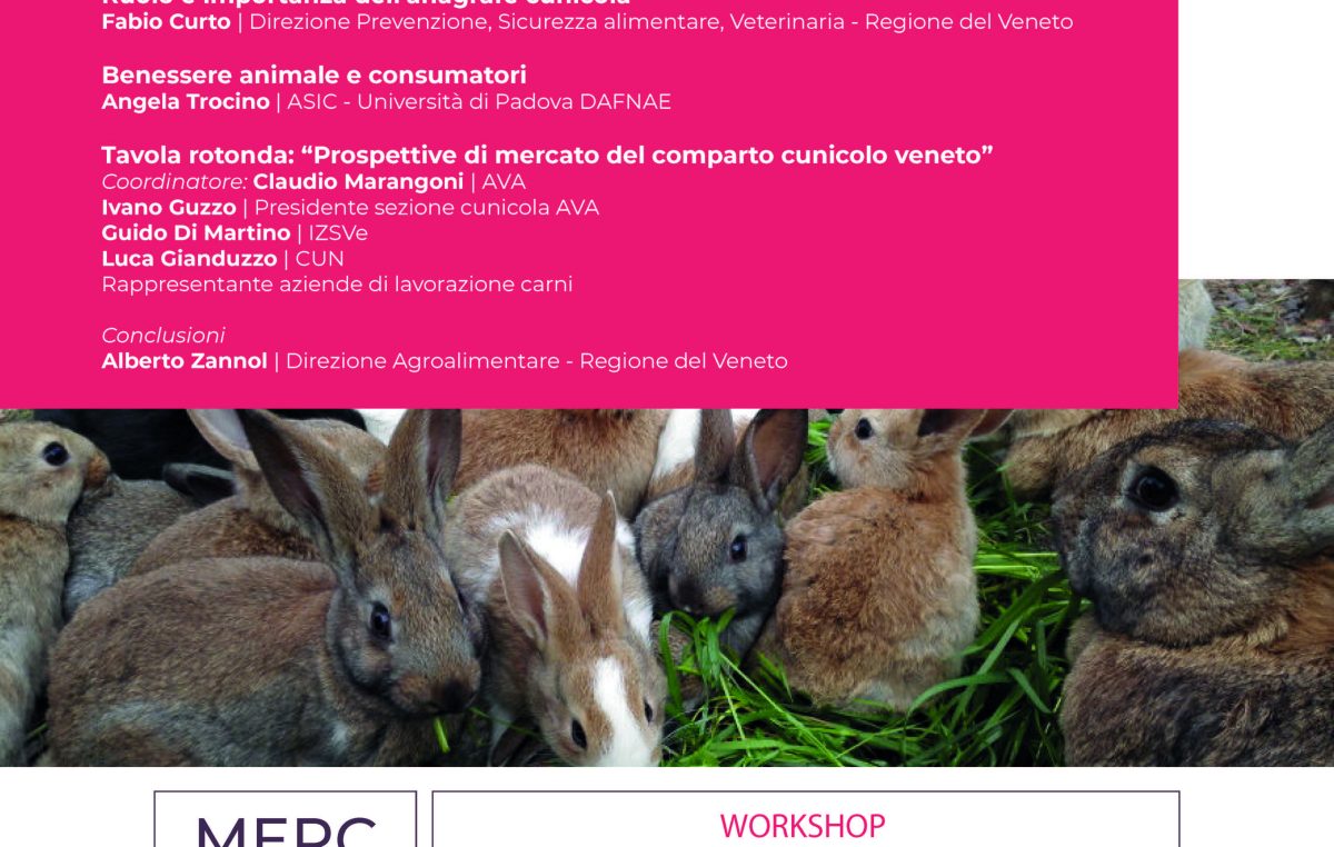 VENETO LEADER NELLA PRODUZIONE DI CARNE DI CONIGLIO: PRESENTAZIONE DEI DATI NEL WORKSHOP DEL 17 APRILE 2024