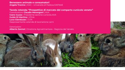 VENETO LEADER NELLA PRODUZIONE DI CARNE DI CONIGLIO: PRESENTAZIONE DEI DATI NEL WORKSHOP DEL 17 APRILE 2024