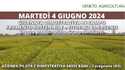 Frumento sostenibile e fitofagi emergenti – Giornata dimostrativa in campo
