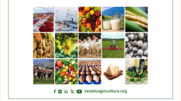 RAPPORTO 2023 SULLA CONGIUNTURA DEL SETTORE AGROALIMENTARE VENETO