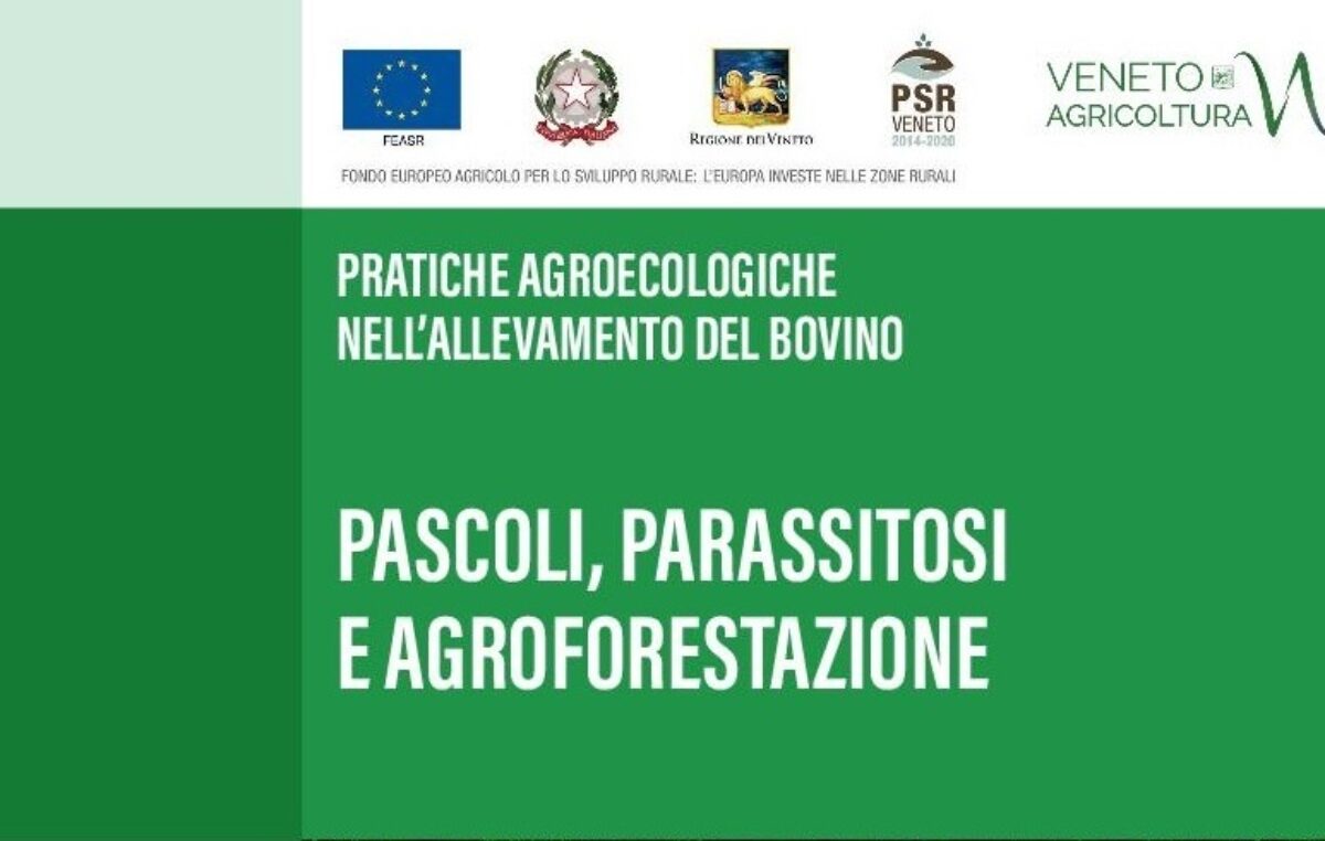 Pascoli, parassitosi e agroforestazione