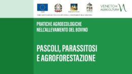 Pascoli, parassitosi e agroforestazione