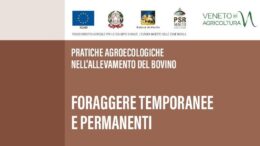 Foraggere temporanee e permanenti