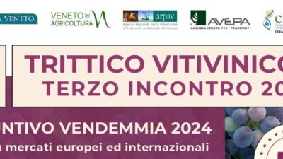 50° Trittico vitivinicolo – Consuntivo vendemmia 2024 e Focus su mercati europei e internazionali